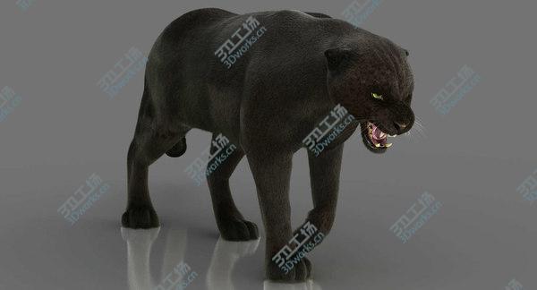 images/goods_img/20210312/3D Black Panther 3 (FUR) (RIGGED)/3.jpg